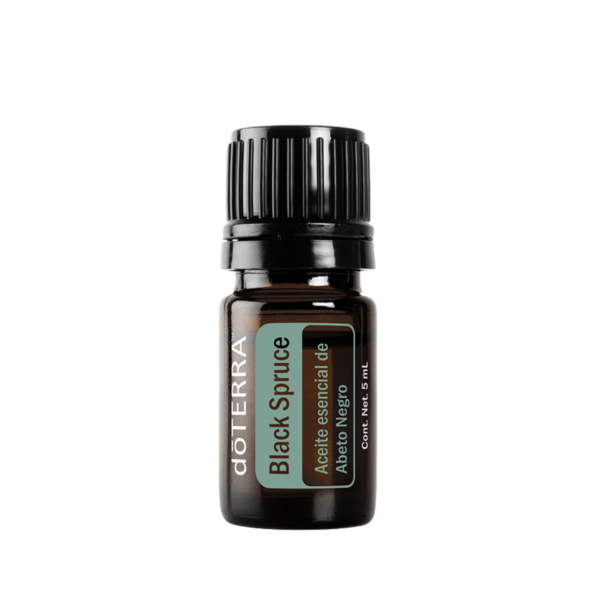Black Spruce Oil