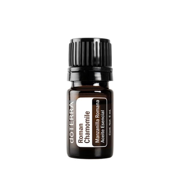 Roman Chamomile Oil