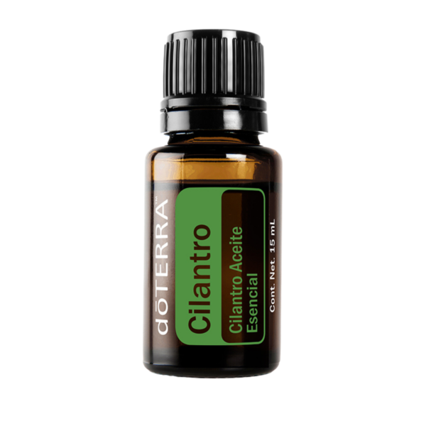 Cilantro Oil